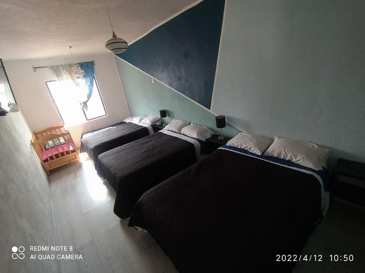 Hotel Vithez Τάμπικο Εξωτερικό φωτογραφία